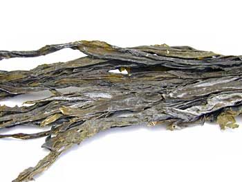 r0401